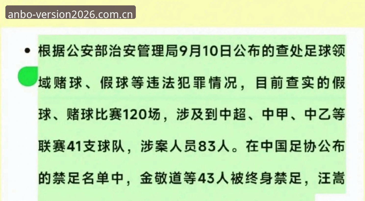中国足协第三批禁足名单深度解析：从案例看行业整顿指南